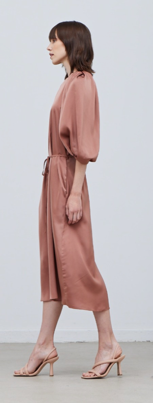 Blossom Sleeve Satin Dress