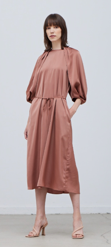 Blossom Sleeve Satin Dress